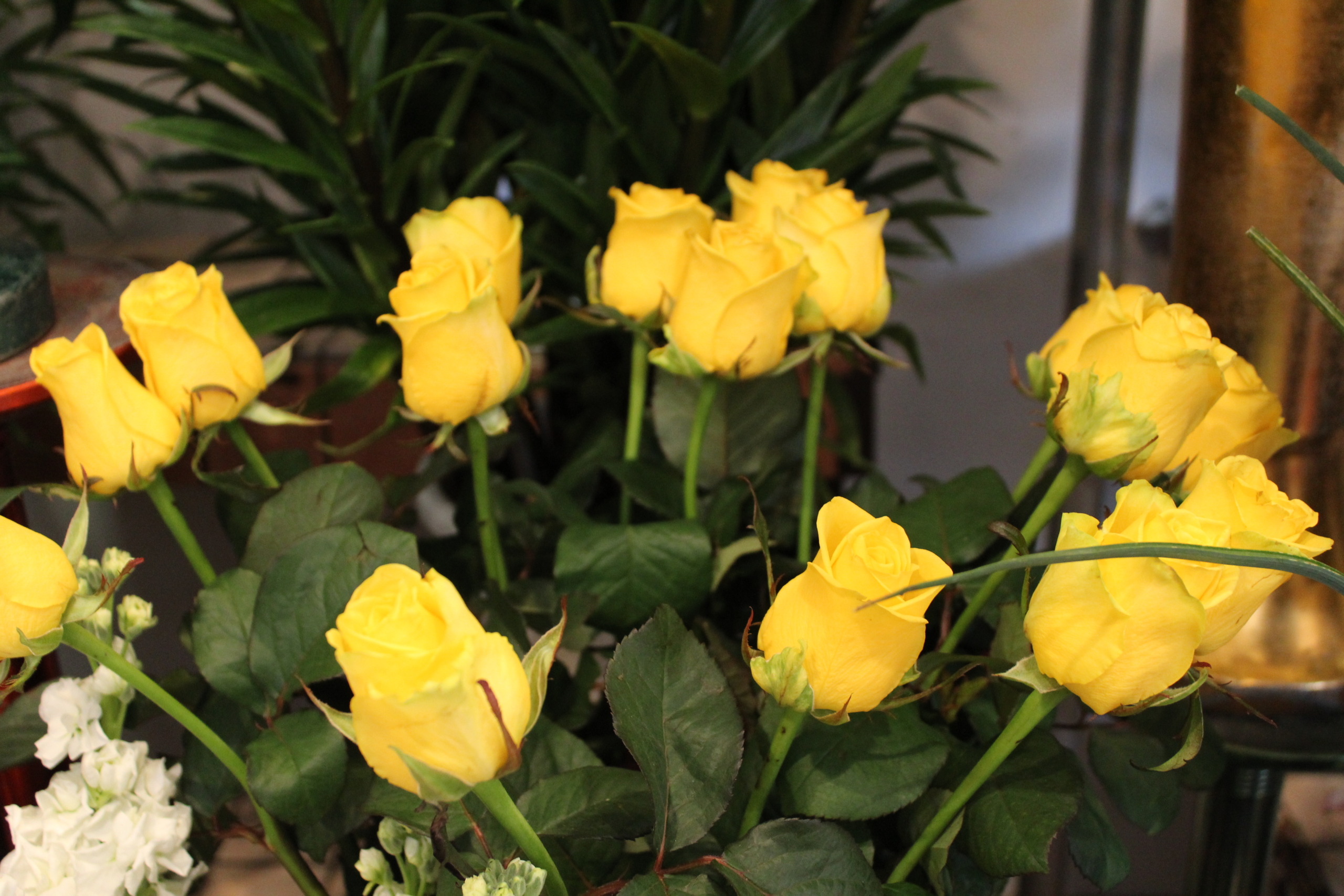 Composizione Rose Gialle