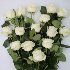 Mazzo di rose colorate bianche