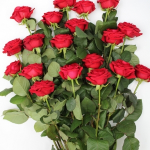 Mazzo di rose colorate rosse