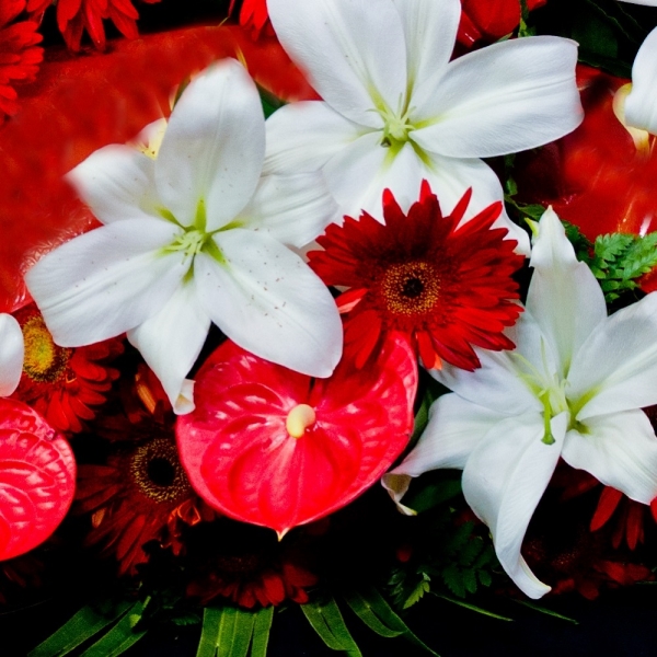 Cuscino bicolore di fiori misti dettaglio