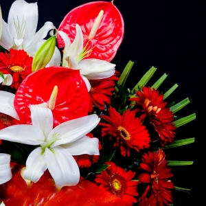 Cuscino bicolore di fiori misti dettaglio anthirium