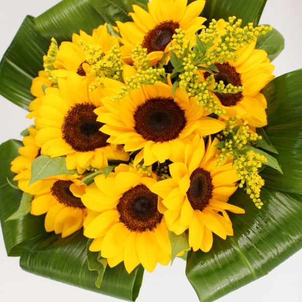 Bouquet di Girasoli dettaglio dall'alto