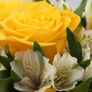 Bouquet di Rose Gialle dettaglio fiori