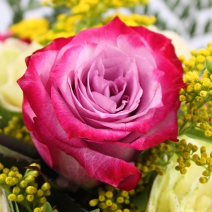 Bouquet di rose sfumatura rosa dettaglio fiore
