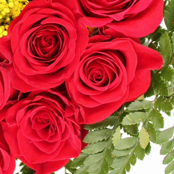 bouquet di rose rosse dettaglio fiori