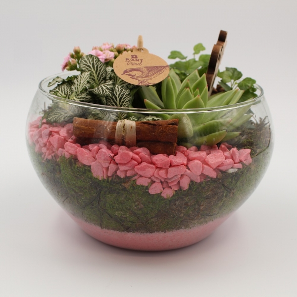 Piante con vaso di vetro in composizione tonalità rosa frontale
