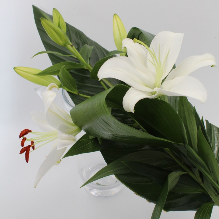 Mazzo di Lilium Casablanca