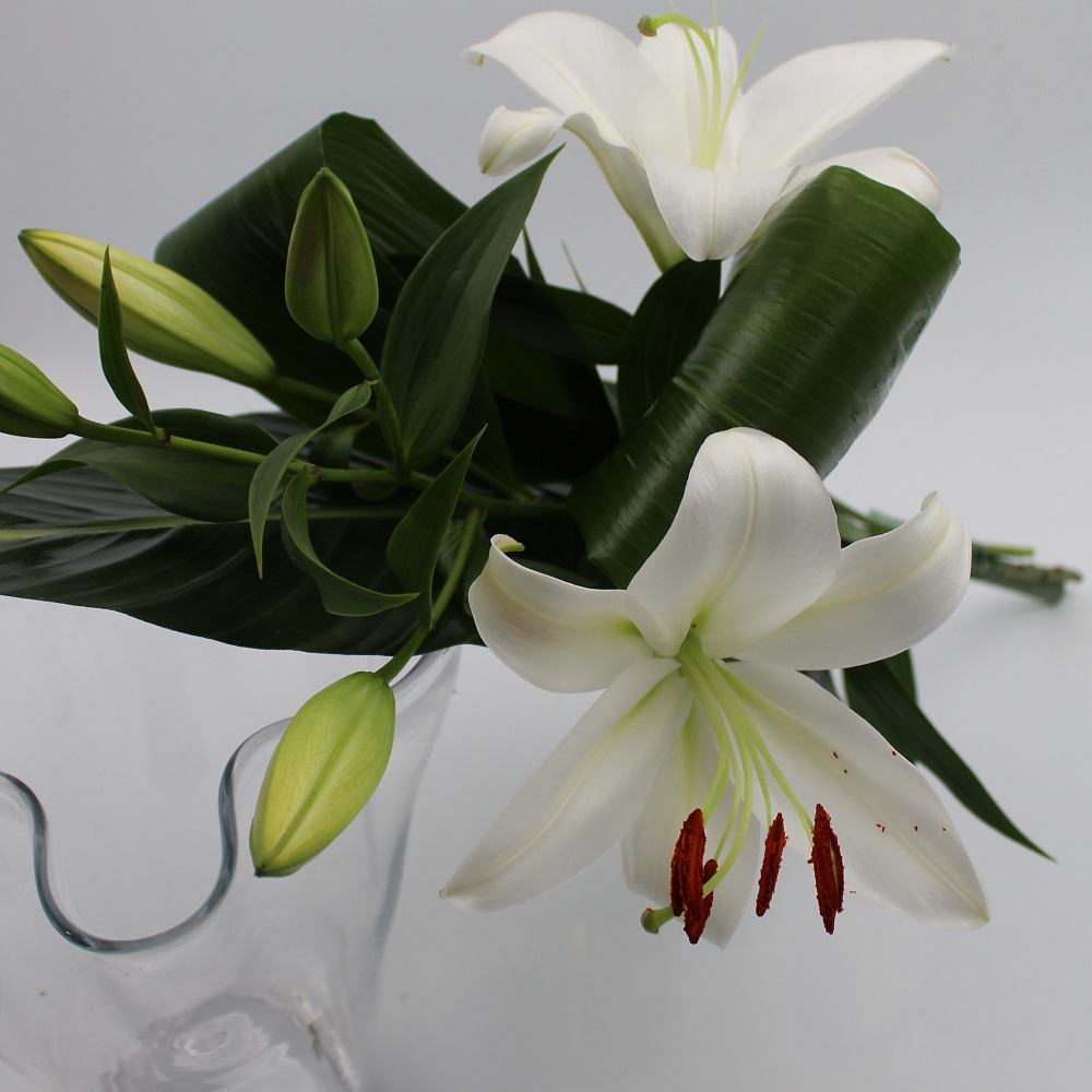 Mazzo di Lilium Casablanca dettaglio
