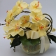 Orchidea Ramificata in vaso di vetro gialla