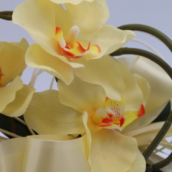 Orchidea Ramificata in vaso di vetro gialla dettaglio fiore