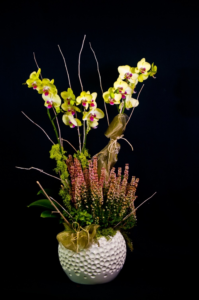 Orchidea con vaso di ceramica bianca in composizione