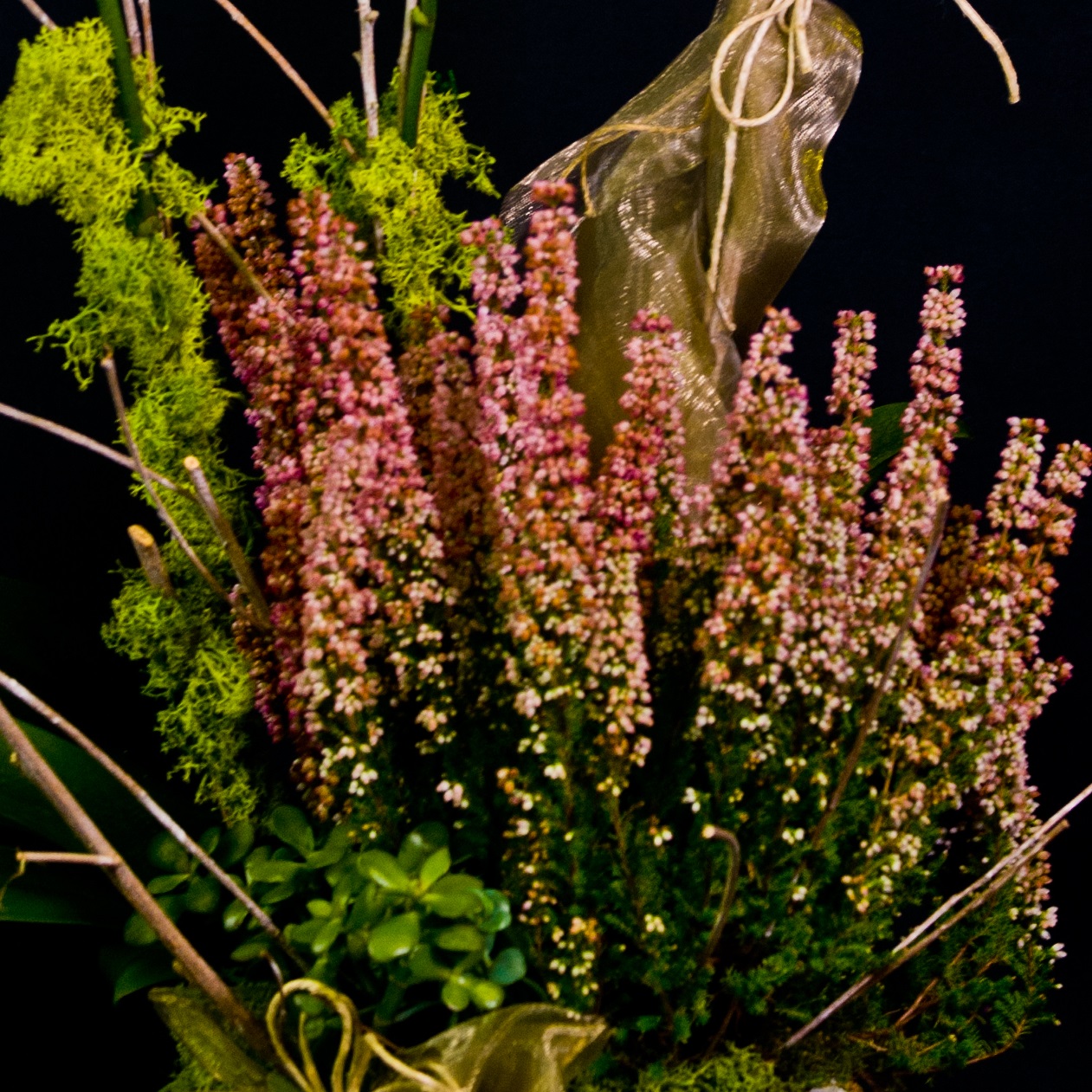 Orchidea con vaso di ceramica bianca in composizione piante