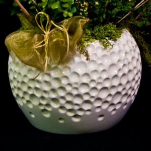 Orchidea con vaso di ceramica bianca in composizione vaso