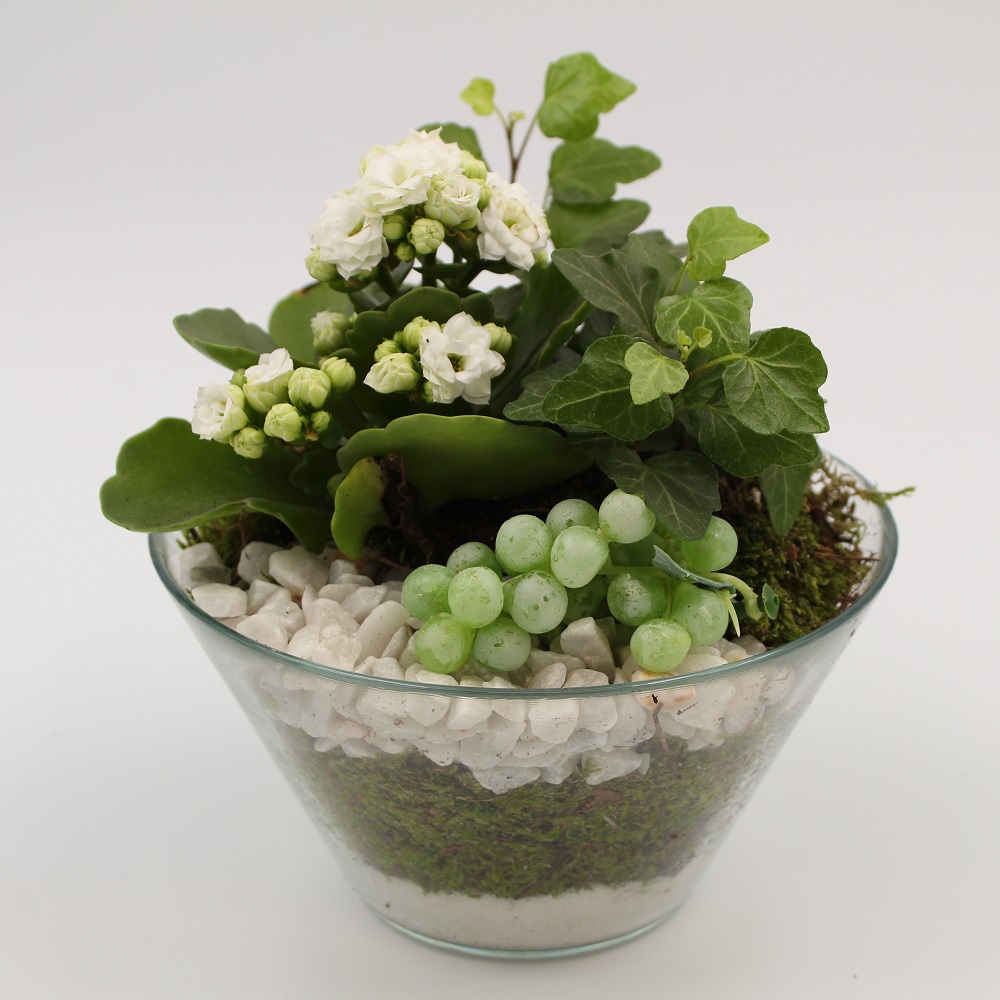 Piante con vaso di vetro in composizione dal fogliame variegato - La  Violetta, fiorai da due generazioni