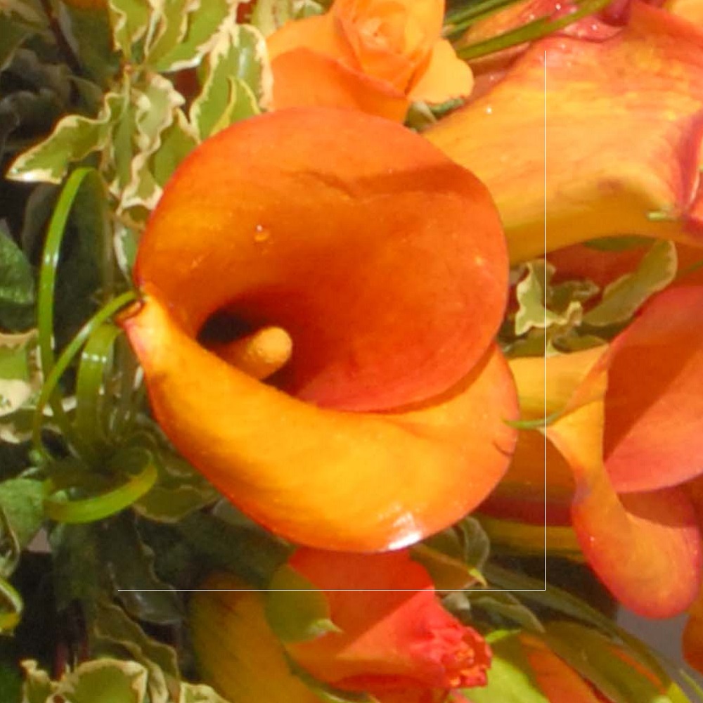 bouquets misto con calle dettaglio fiore