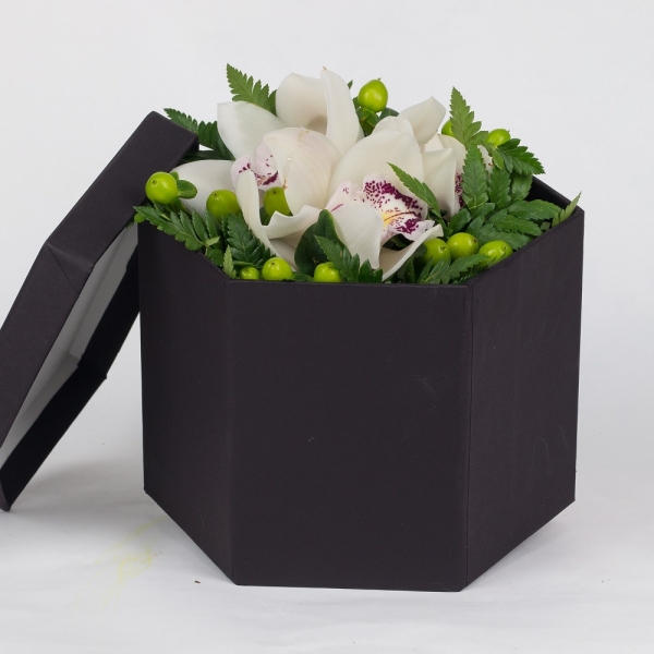Flower Box orchidee