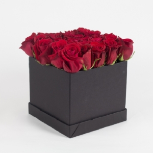 Square boxe di Rose Rosse