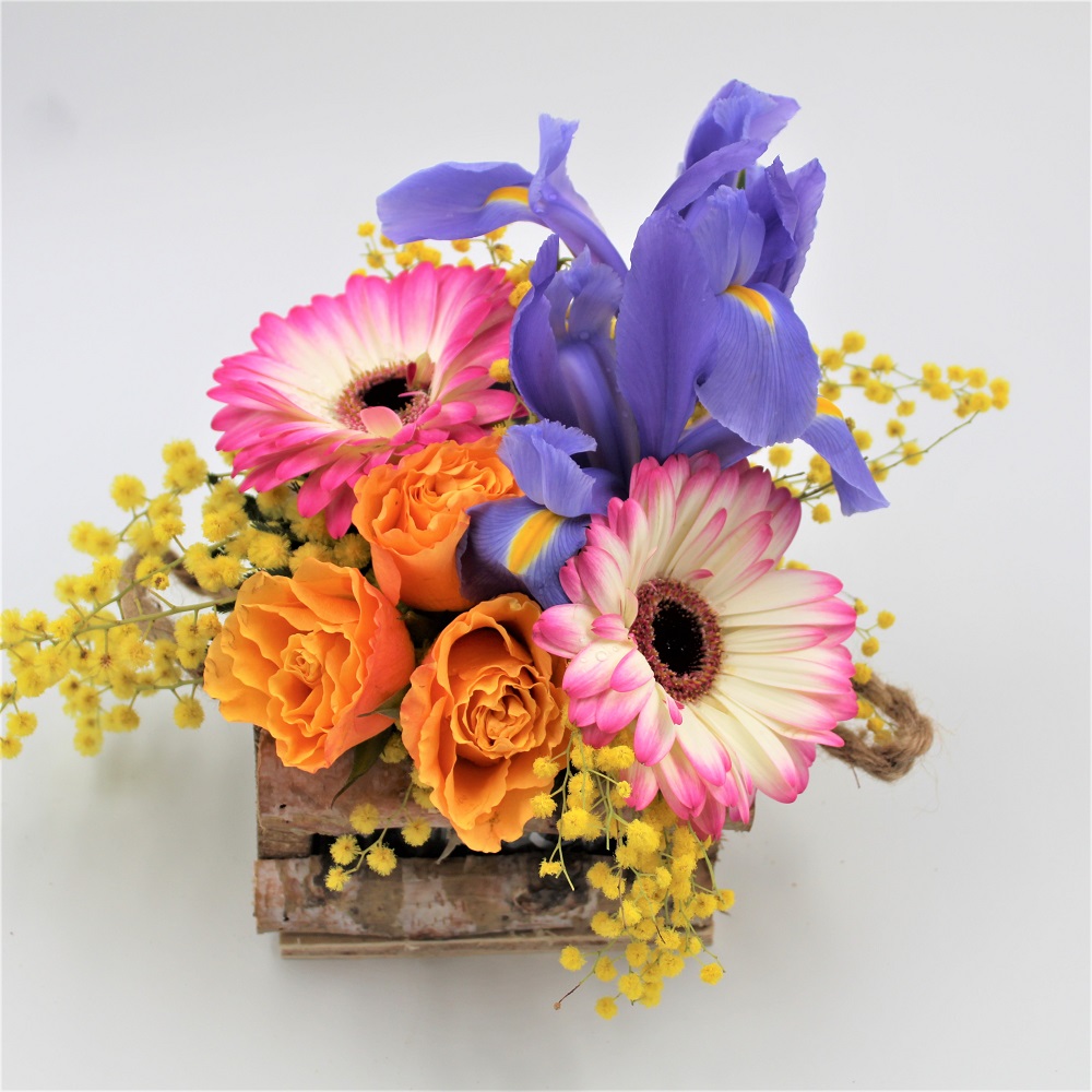 Caspò in legno di Fiori Misti profilo