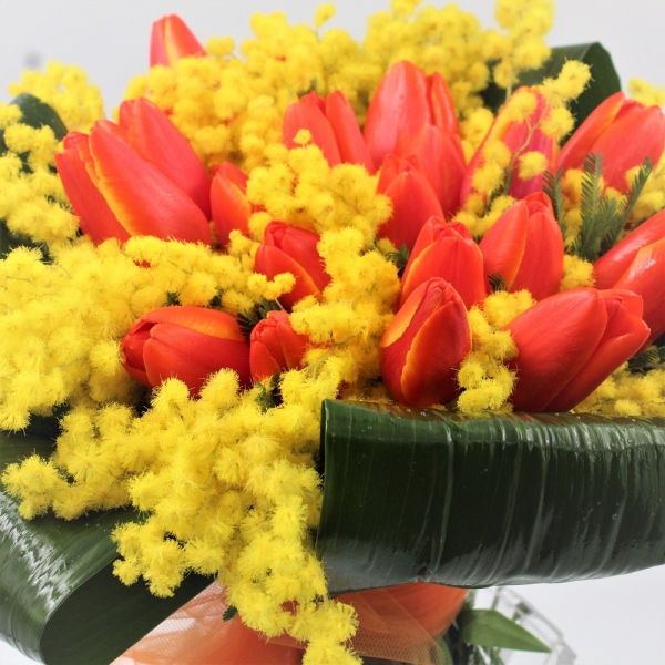 Bouquet di Tulipani e Mimosa dettaglio