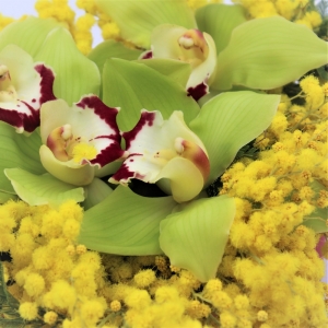 Cuore di Orchidee e Mimosa dettaglio