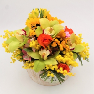 Megashow di fiori Misti e Mimosa dettaglio dx