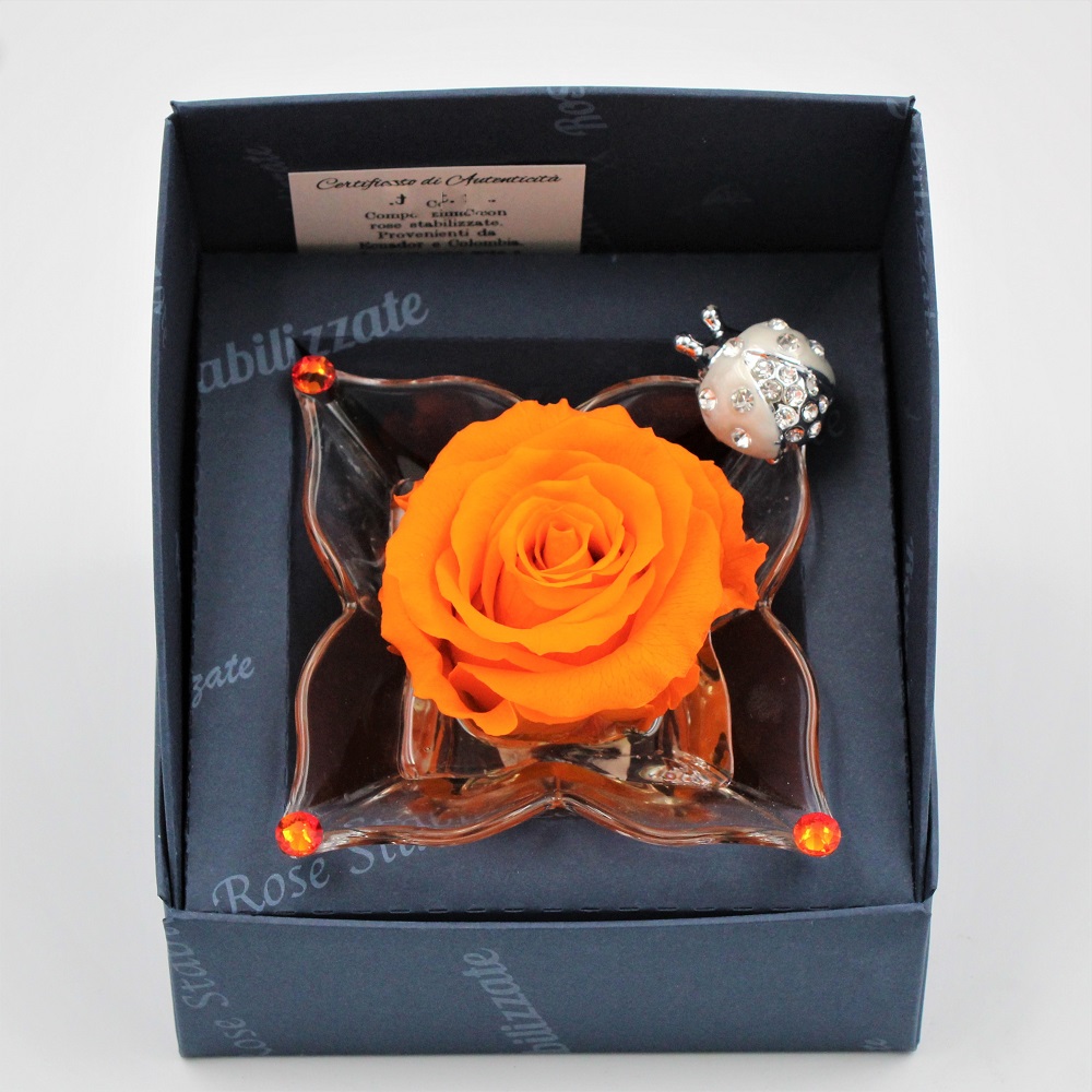Rosa Arancio Stabilizzata Dettaglio Cocc