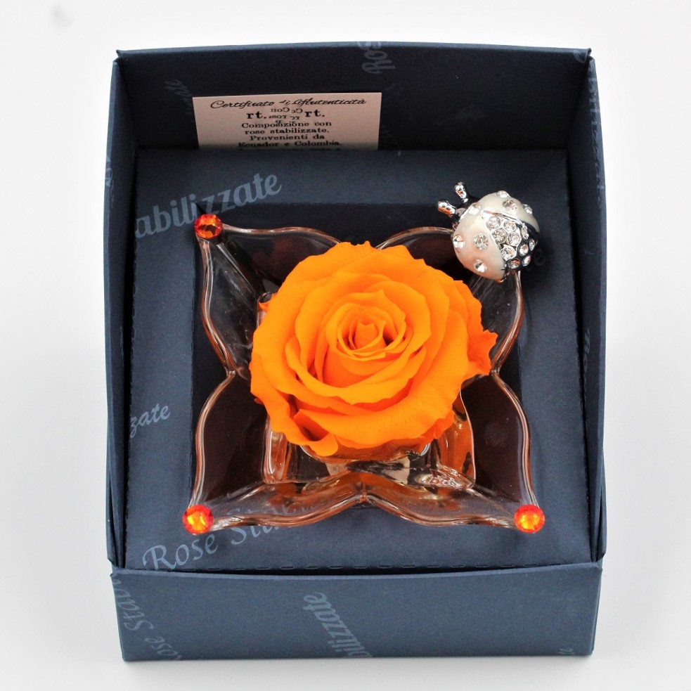 Rosa Arancio Stabilizzata Dettaglio