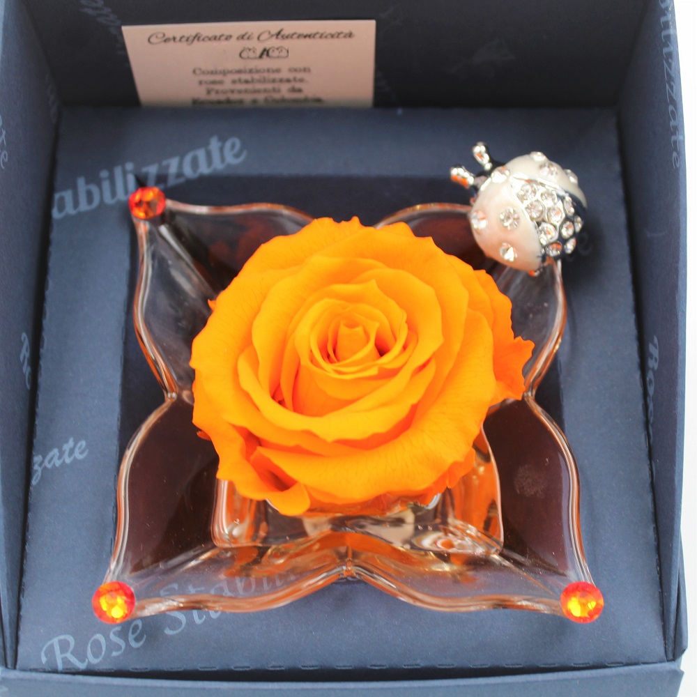 Rosa Arancio Stabilizzata Zoom