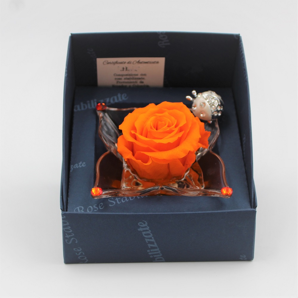 Rosa Arancio Stabilizzata alto