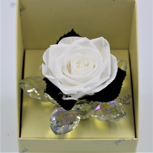 Rosa Bianca Stabilizzata in Petali di cristallo dettaglio cris
