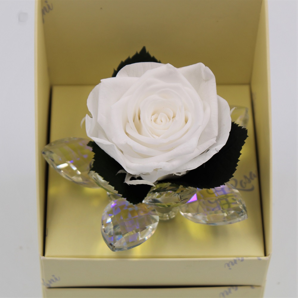 Rosa Bianca Stabilizzata in Petali di cristallo dettaglio