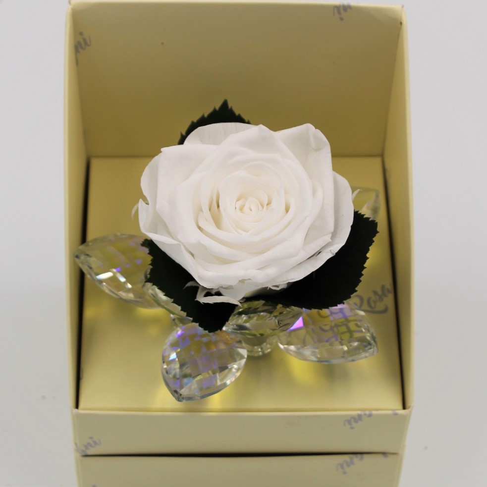 Rosa Bianca Stabilizzata in Petali di cristallo zoom