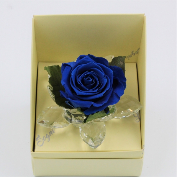 Rosa Blu Stabilizzata in Petali di cristallo alto