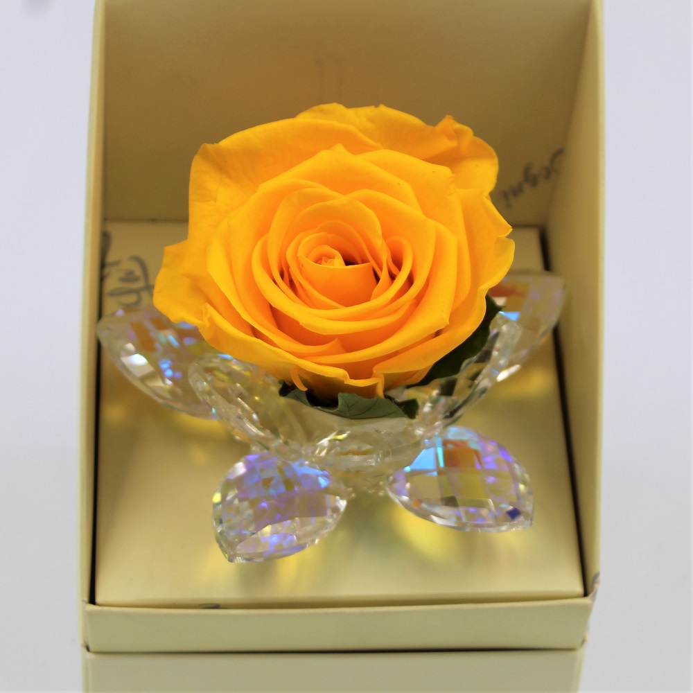 Rosa Gialla Stabilizzata in Petali di cristallo Zoom