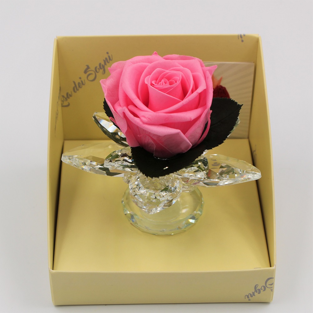 Rosa Rosa Stabilizzata in Calice di Cristallo alto