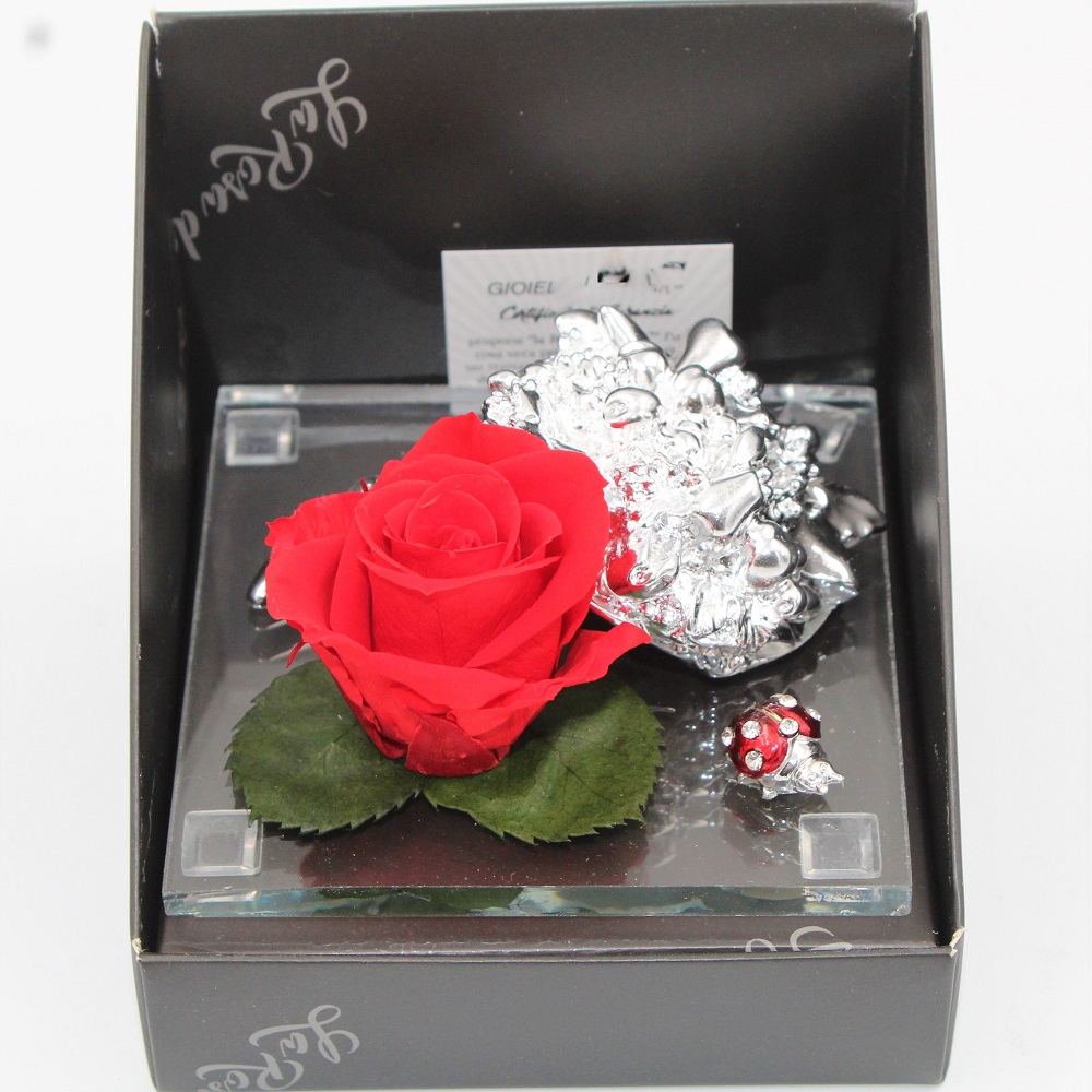 Rosa Rossa Stabilizzata cornucopia dettaglio