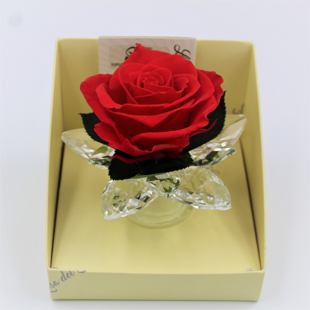 Rosa Rossa Stabilizzata in Calice di Cristallo alto