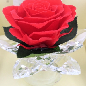 Rosa Rossa Stabilizzata in Calice di Cristallo dettaglio cris