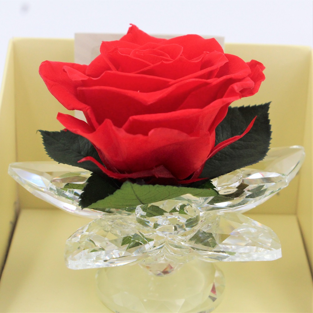 Rosa Rossa Stabilizzata in Calice di Cristallo dettaglio