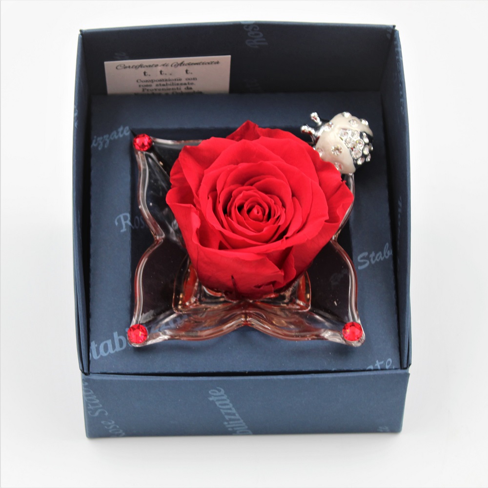 Rosa Stabilizzata Rossa Cocc