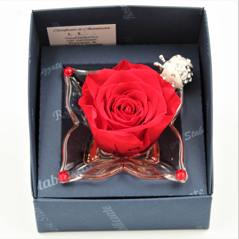 Rosa Stabilizzata Rossa Dettaglio