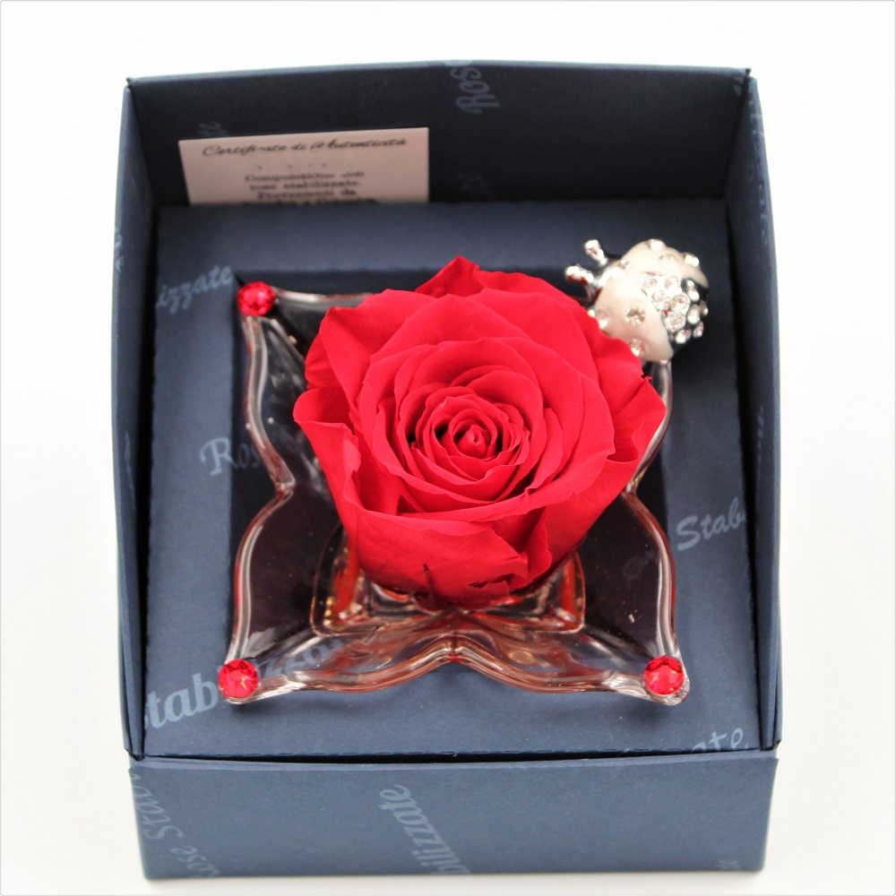 Rosa stabilizzata Rossa alto
