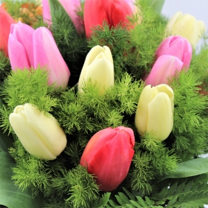 Bouquet di Tulipani dettaglio Dx