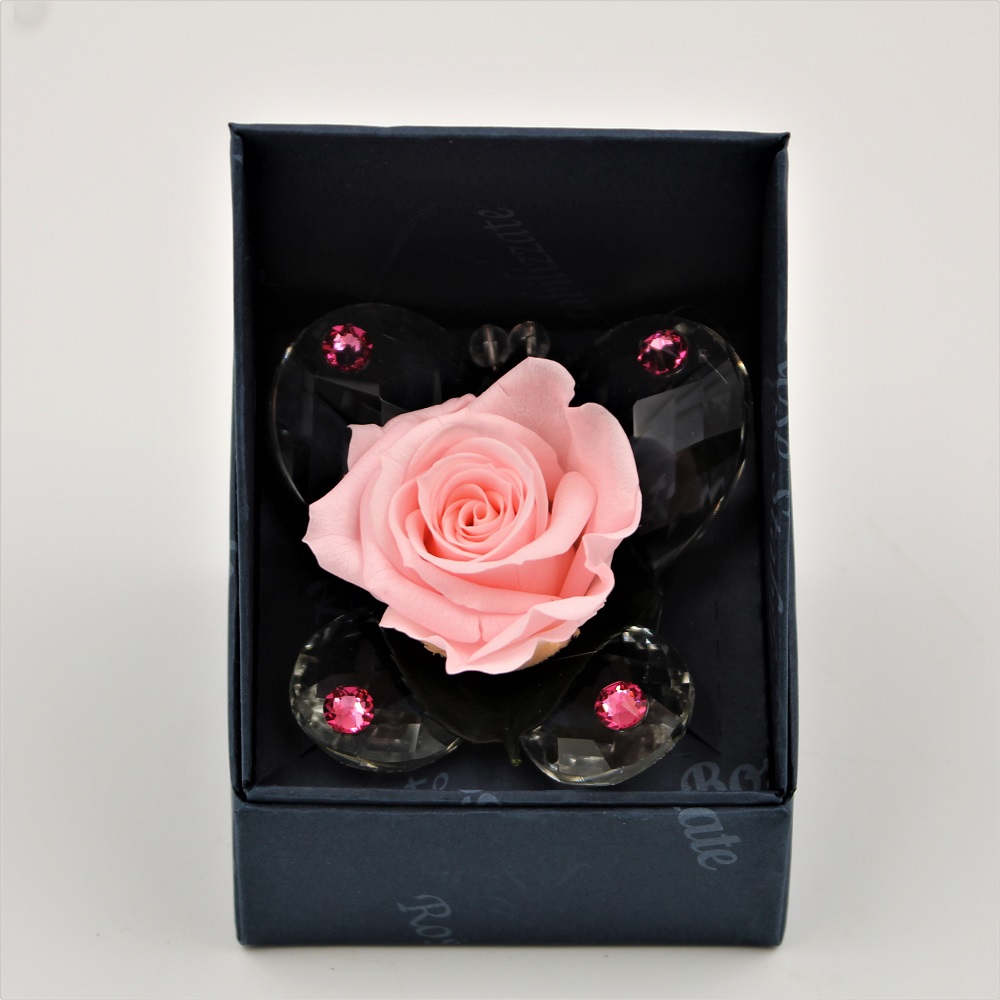 Butterflay Rosa
