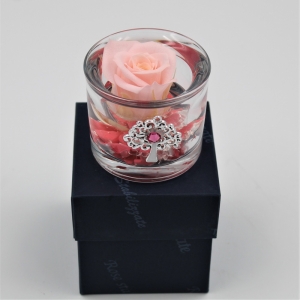 Crystal Cylinder Rosa