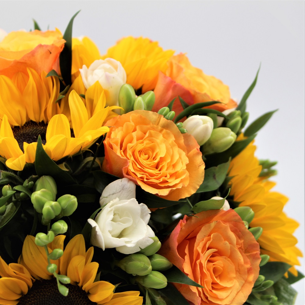 Girasoli in Ceramica Dett Dx