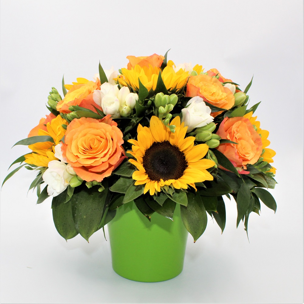 Girasoli in Ceramica Pan