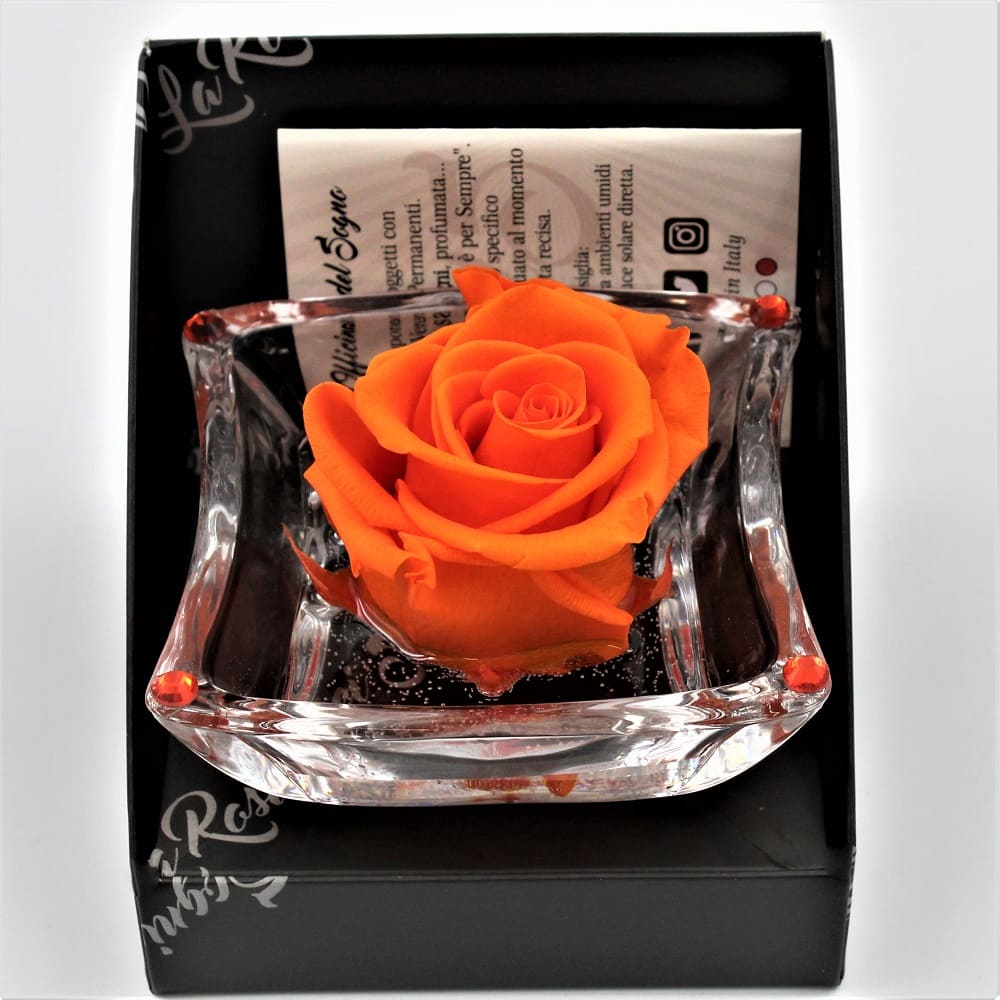 Rosa Arancio Stabilizzata Ninfea Zoom