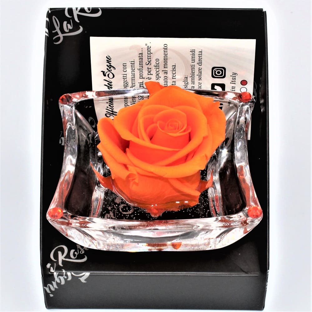 Rosa Arancio Stabilizzata dettaglio cris
