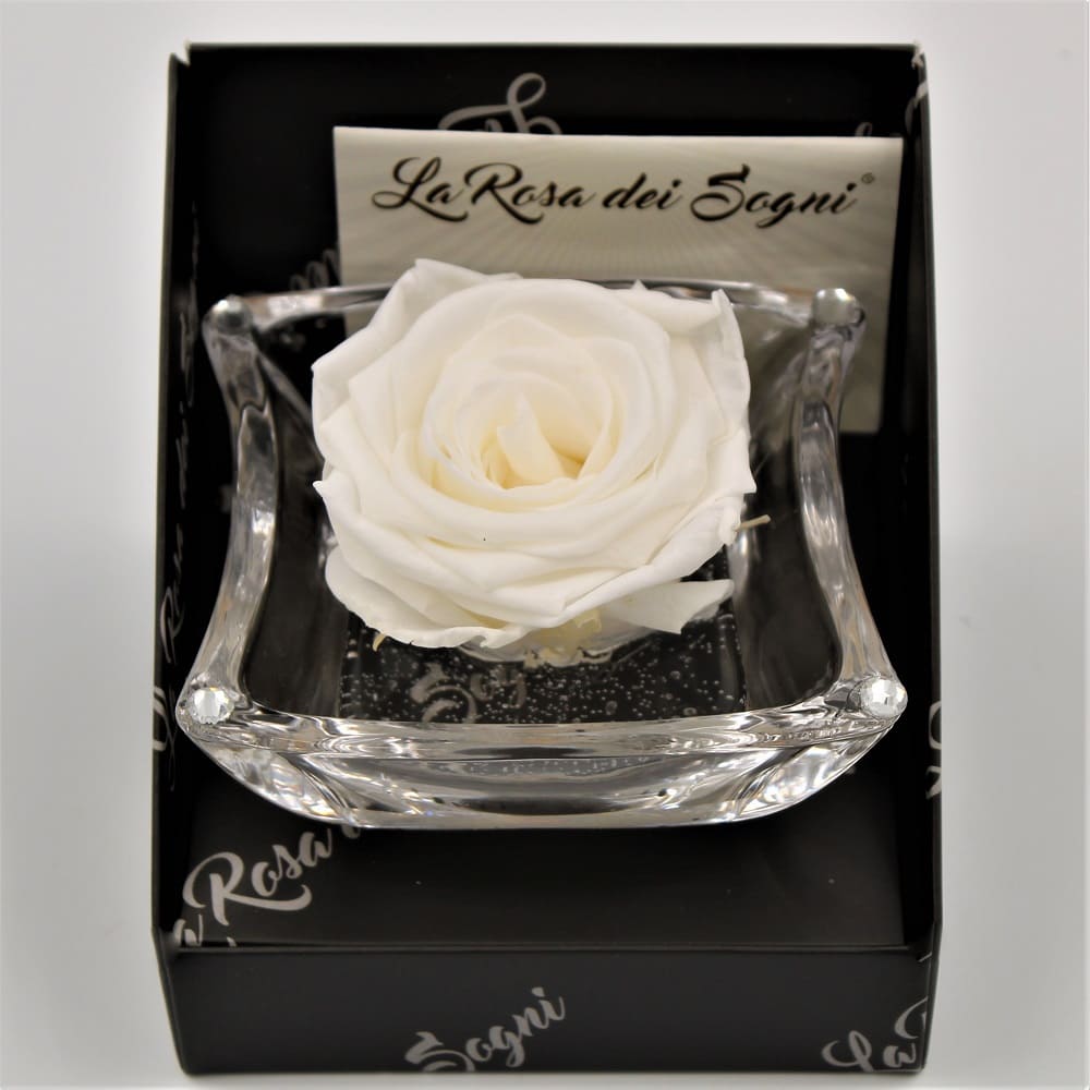 Rosa Bianca Stabilizzata Ninfea dett cris Rosa Bianca Stabilizzata Ninfea dett cris